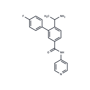 ROCK抑制剂1|T13419|TargetMol
