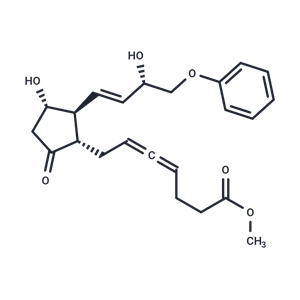 化合物 Enprostil|T25375|TargetMol