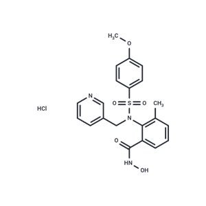 化合物 WAY-151693|T29150|TargetMol