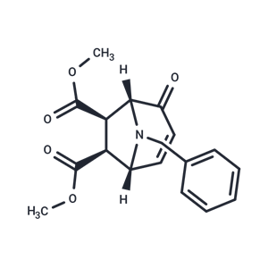 化合物 SD 1008|T23340|TargetMol