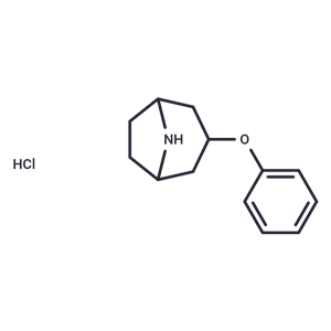 3-phenoxy-8-azabicyclo[3.2.1]octane 盐酸盐|T50115|TargetMol