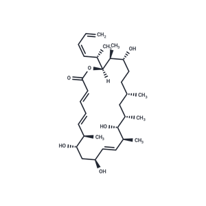化合物 Dictyostatin|T72964|TargetMol