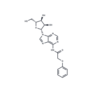 化合物 N6-Phenoxyacetyladenosine|TNU0706|TargetMol