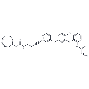 化合物 ERK1/2 inhibitor 9,ERK1/2 inhibitor 9