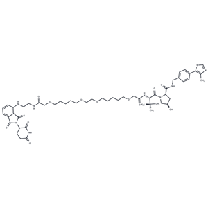 化合物 PROTAC CRBN Degrader-1,PROTAC CRBN Degrader-1