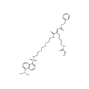 化合物 NC9 TG2 inhibitor|T28137|TargetMol