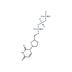 化合物 ddUTP,ddUTP