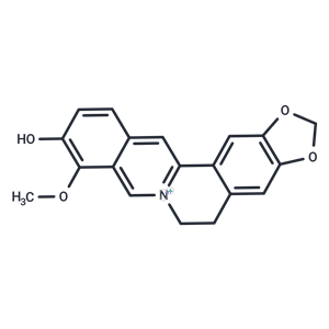 化合物 Thalifendine|T125531|TargetMol