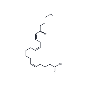 16(R)-HETE|T35847|TargetMol
