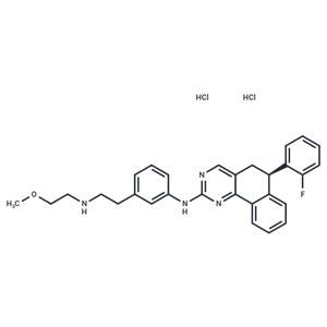 化合物 Derazantinib dihydrochloride|T70143|TargetMol