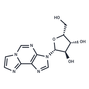 化合物 1,N6-Etheno-9-(b-D-xylofuranosyl)adenosine|TNU0291|TargetMol