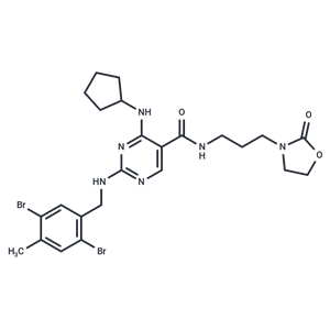 化合物 CASK-IN-1|T73221|TargetMol
