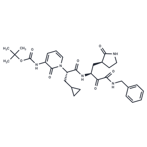 化合物 SARS-CoV-2-IN-1|T12836|TargetMol
