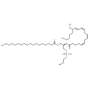 1-Stearoyl-2-15(S)-HpETE-sn-glycero-3-PE|T37487|TargetMol