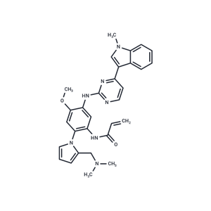 化合物 EGFR kinase inhibitor 1|T63648|TargetMol
