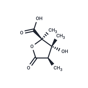 化合物 Monocrotalic acid|T33469|TargetMol