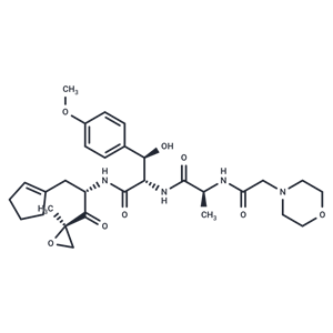 Zetomipzomib|T37419|TargetMol