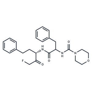 化合物 P 34081,P 34081