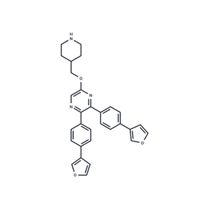 化合物 CBP/p300-IN-19|T63122|TargetMol