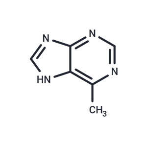 化合物 6-Methylpurine|TNU0683|TargetMol