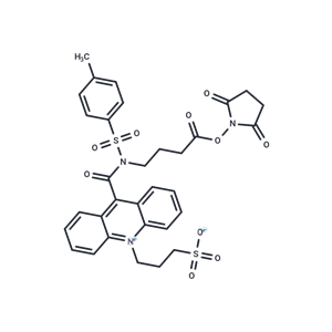 化合物NSP-SA-NHS|T19040|TargetMol