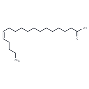 化合物 cis-13-Octadecenoic Acid|T84991|TargetMol