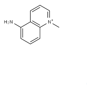 5-氨基-1-甲基-喹啉氯化物,5-Amino-1-methyl-quinoline chloride
