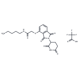 化合物T7759,Thalidomide-O-amido-C4-NH2 TFA