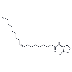 N-cis-octadec-9Z-enoyl-L-Homoserine lactone|T37737|TargetMol
