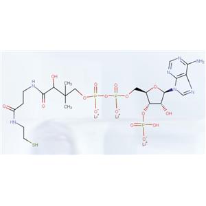辅酶A三锂盐 