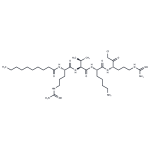 化合物 Decanoyl-RVKR-CMK|TP2038|TargetMol