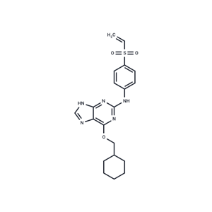 化合物 NU6300|T16360|TargetMol