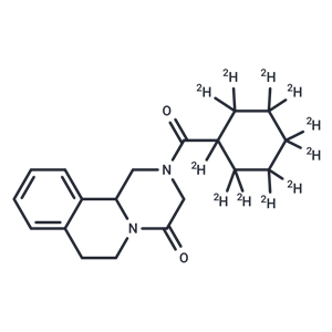 吡喹酮 D11,Praziquantel D11