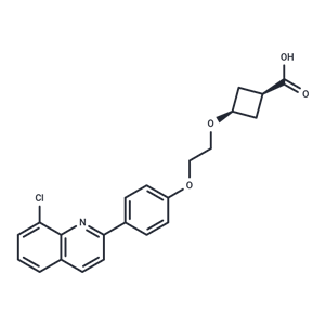 化合物 HBV-IN-16|T61886|TargetMol