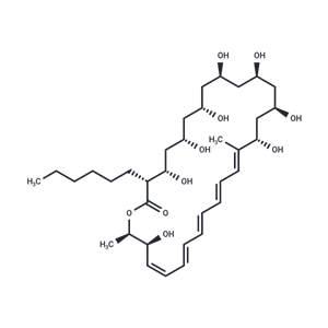 Filipin II,Filipin II