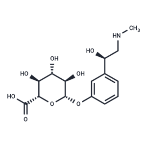 化合物 Phenylephrine Glucuronide|T85248|TargetMol
