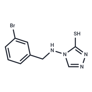 化合物 NDM-1 inhibitor-2|T28149|TargetMol