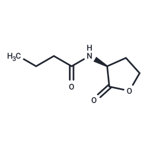 N-丁酰基-L-高丝氨酸内酯,N-Butanoyl-L-homoserine lactone