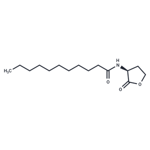 N-undecanoyl-L-Homoserine lactone,N-undecanoyl-L-Homoserine lactone