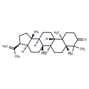 化合物 3-Oxo-hop-22(29)-ene|T72459|TargetMol