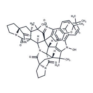 Stephacidin B|T37452|TargetMol