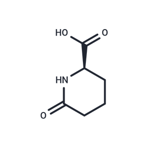 化合物 D-Pyrohomoglutamic Acid|T71769|TargetMol