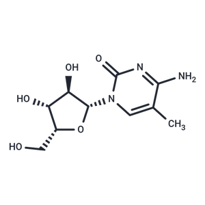 化合物 1-(b-D-Xylofuranosyl)-5-methylcytosine,1-(b-D-Xylofuranosyl)-5-methylcytosine