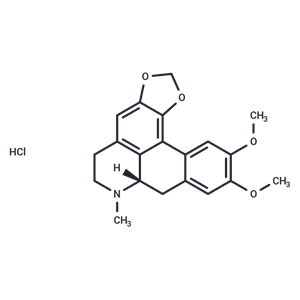 化合物 Dicentrine HCl|T69075|TargetMol