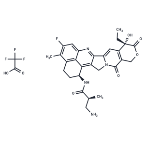 化合物 NH2-methylpropanamide-Exatecan TFA|T77889|TargetMol