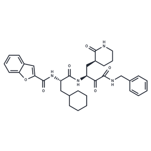 化合物 CTSL/CAPN1-IN-2,CTSL/CAPN1-IN-2