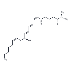 Leukotriene B4 dimethyl amide|T37618|TargetMol