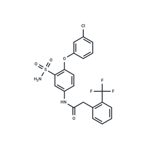 化合物 P2X4 antagonist-2|T87087|TargetMol