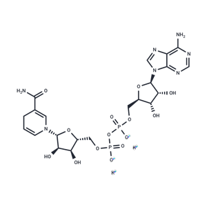 化合物 β-Nicotinamide adenine dinucleotide reduced dipotassium,β-Nicotinamide adenine dinucleotide reduced dipotassium