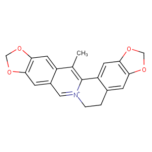 甲基黄连碱|T3S0804|TargetMol